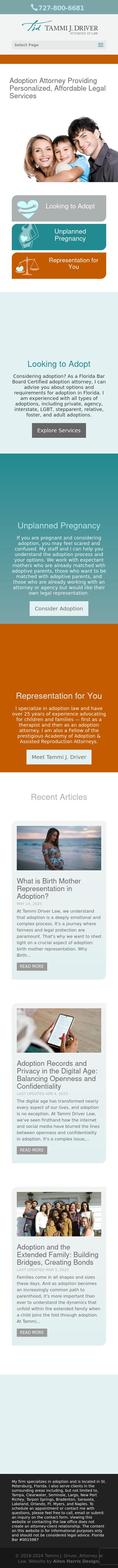 Law Office of Tammi J. Driver, P.L. - Saint Petersburg FL Lawyers