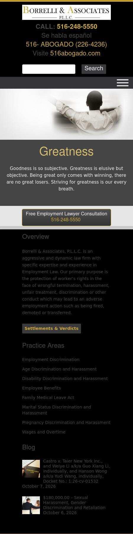 Borrelli & Associates, P.L.L.C. - New York NY Lawyers